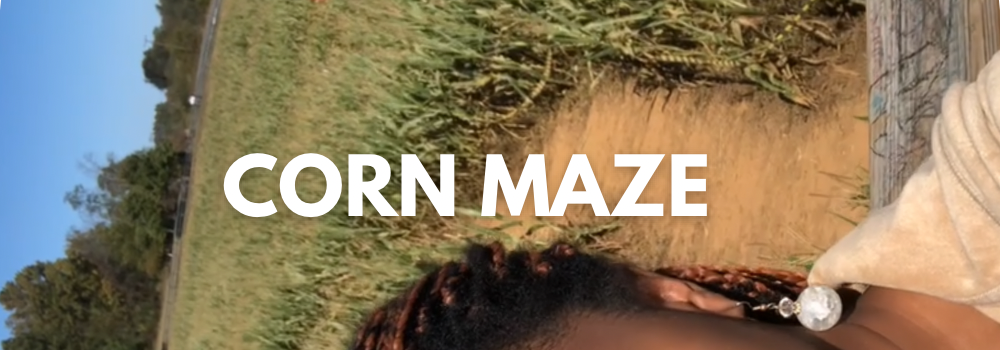 Corn Maze